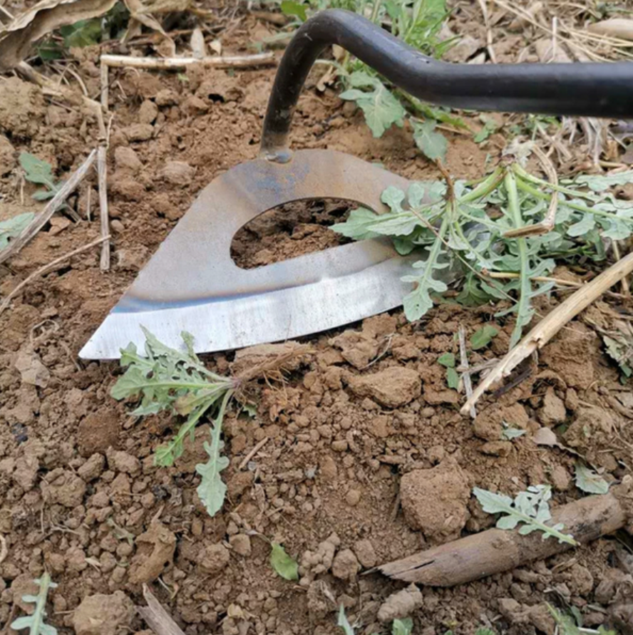 Houe Creuse Tout Acier pour le Jardinage