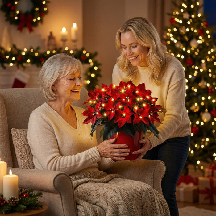 Lighted Red Artificial Poinsettia
