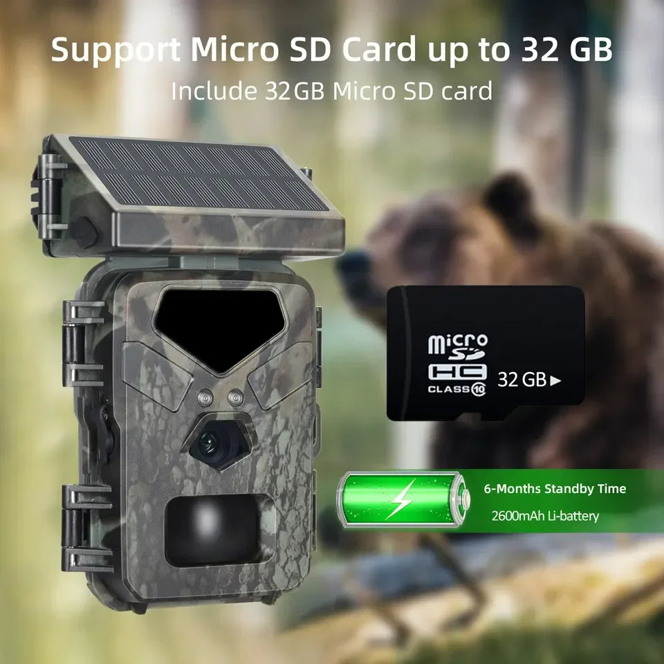Caméra de Chasse Compacte Solaire