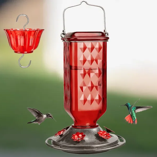 Mangeoire à Colibris en Verre Anti-Fuite 700ml