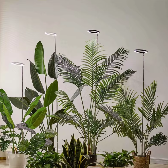 Lampe de Croissance pour Plantes d'Intérieur