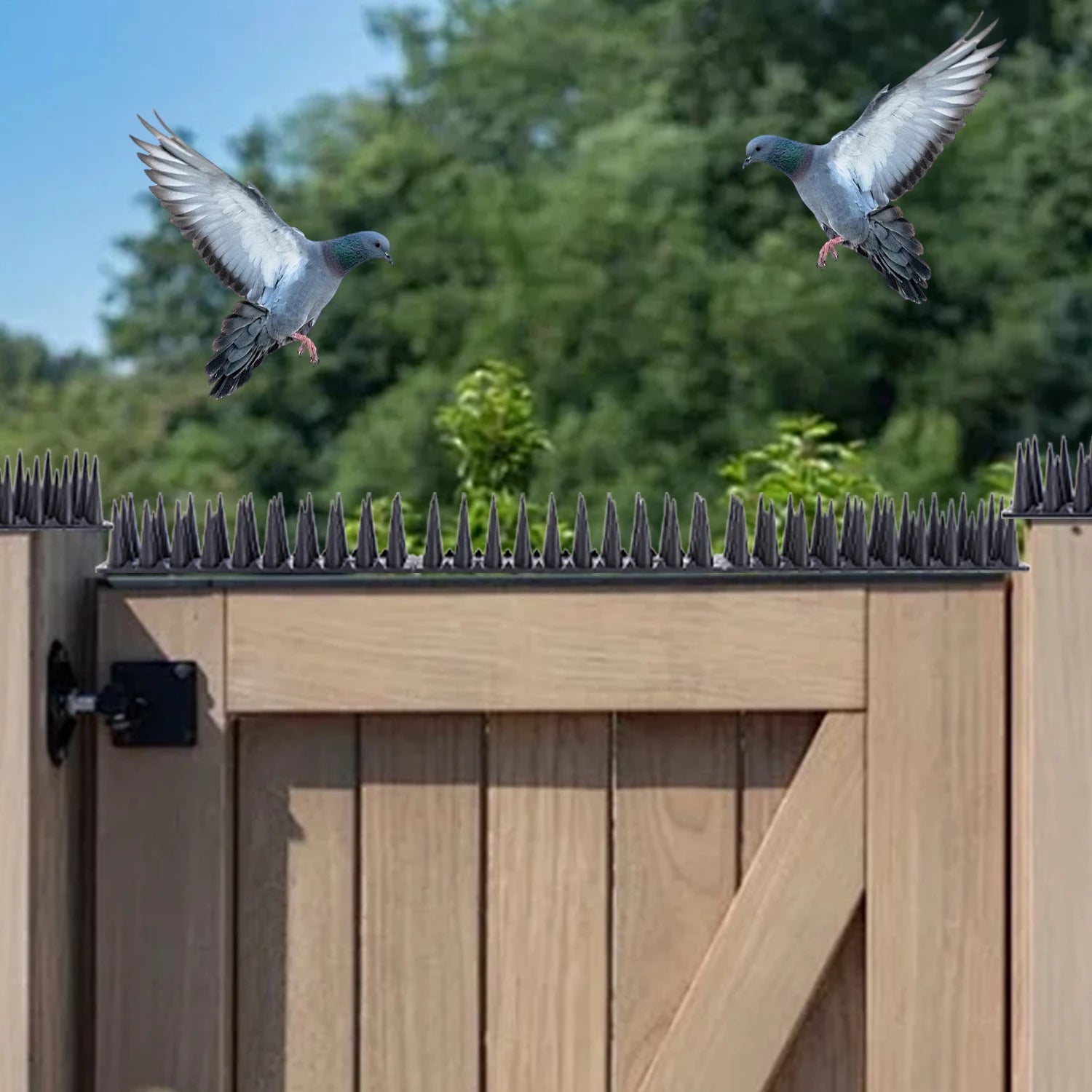 Pics Anti-Oiseaux en Plastique