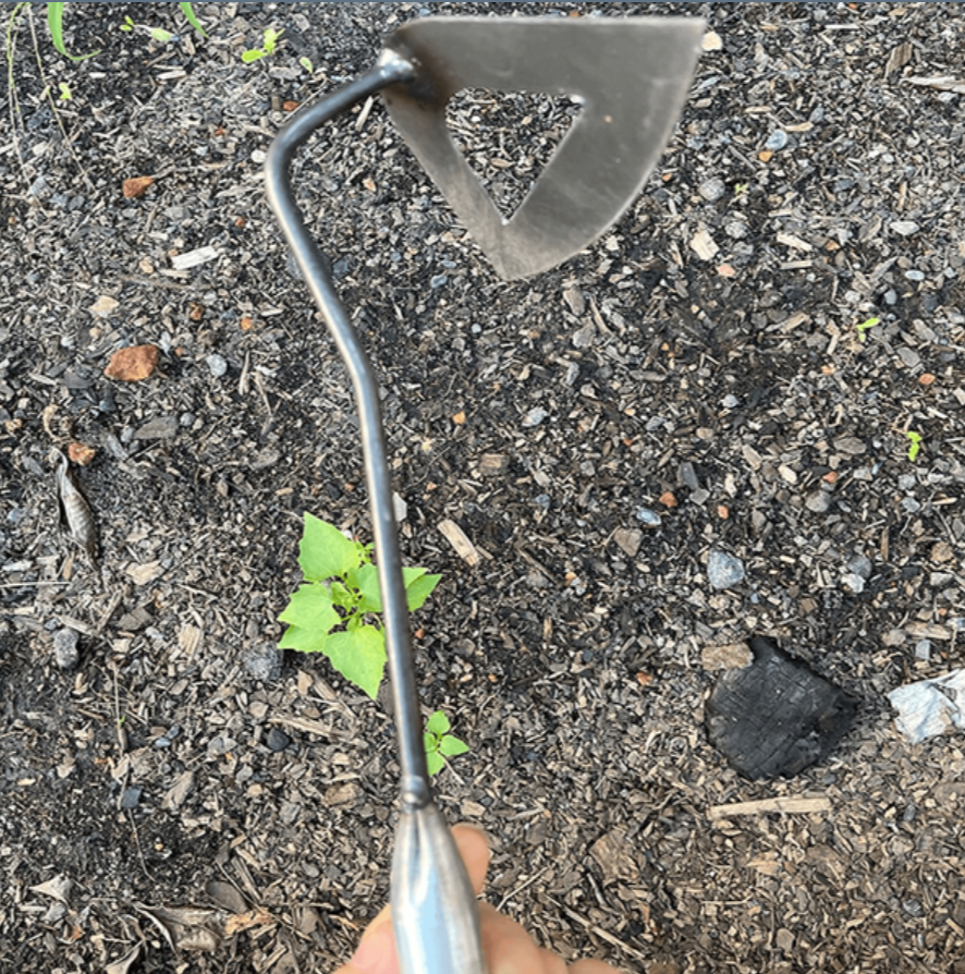 Houe Creuse Tout Acier pour le Jardinage