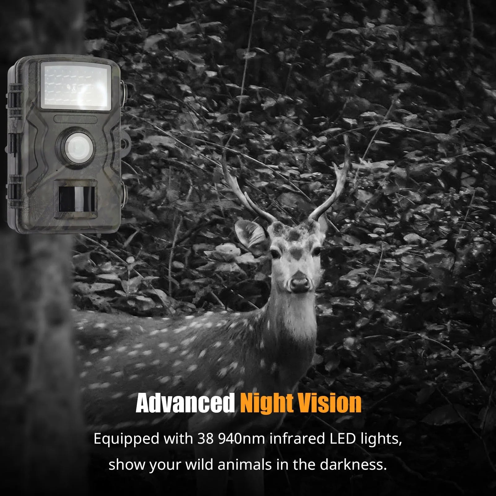Caméra de Chasse Vision Nocturne 1080P
