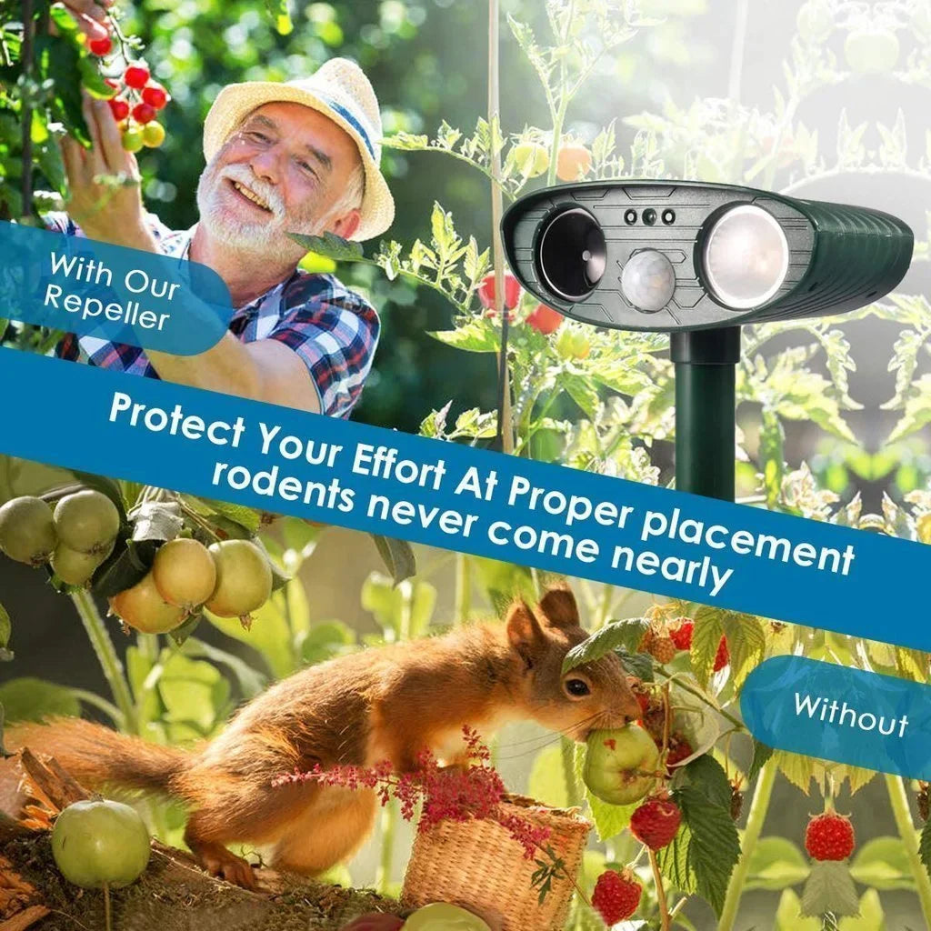 Solar Ultrasonic Chipmunk Repellent