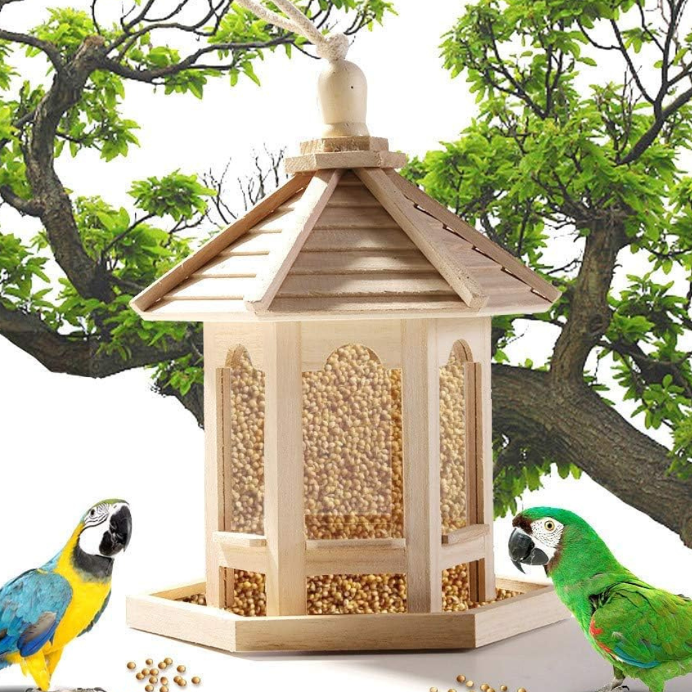 Mangeoire à Oiseaux en Bois et Verre