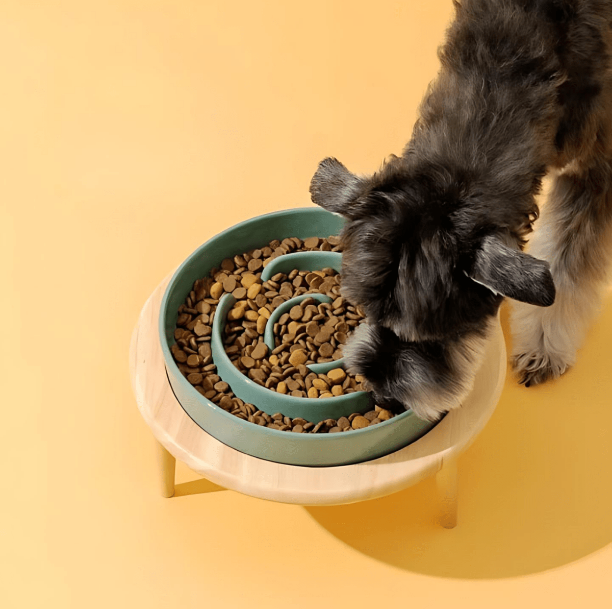 Ceramic Slow Feeder Bowl for Dogs and Cats