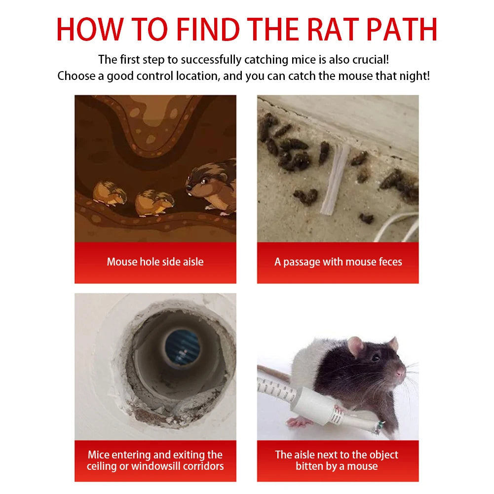 Cage Piège à Souris Réutilisable à Porte Coulissante