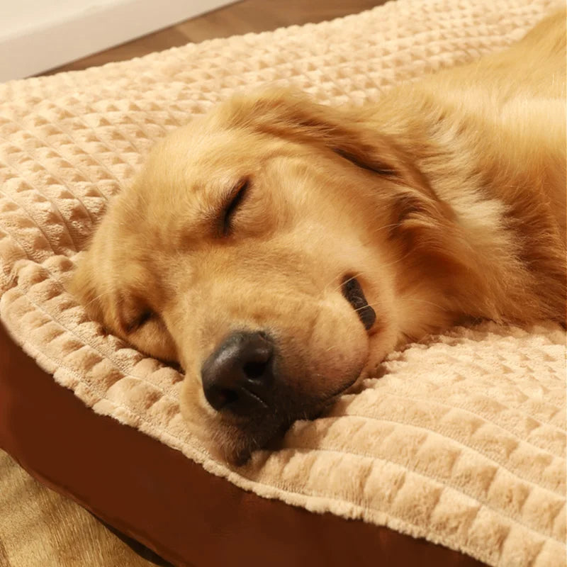 Lit pour chien en mousse ferme à housse lavable