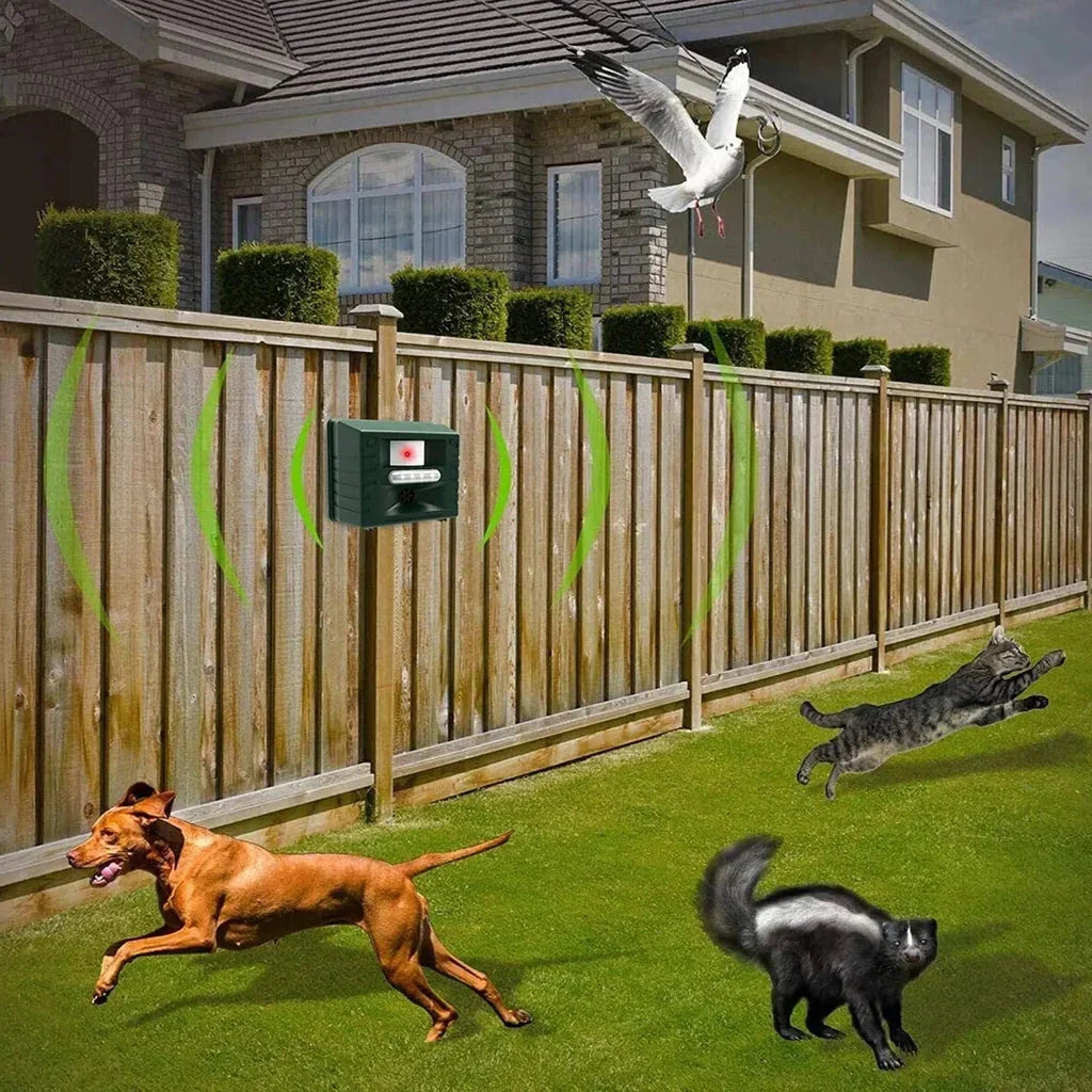 Effective Ultrasonic Woodpecker Repellent
