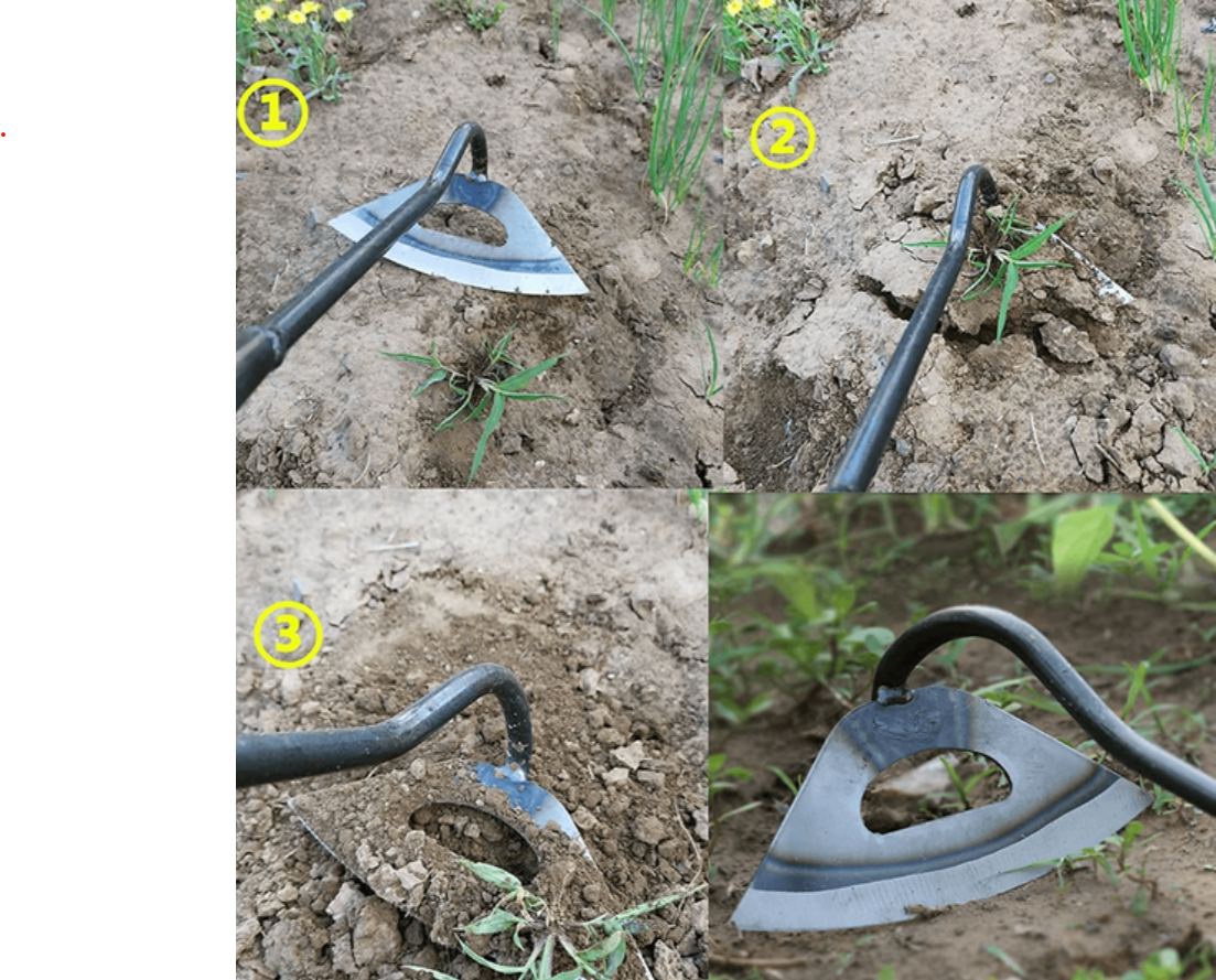 Houe Creuse Tout Acier pour le Jardinage