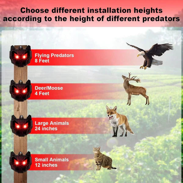 Répulsif Solaire Animaux Nocturnes - Lot de 2