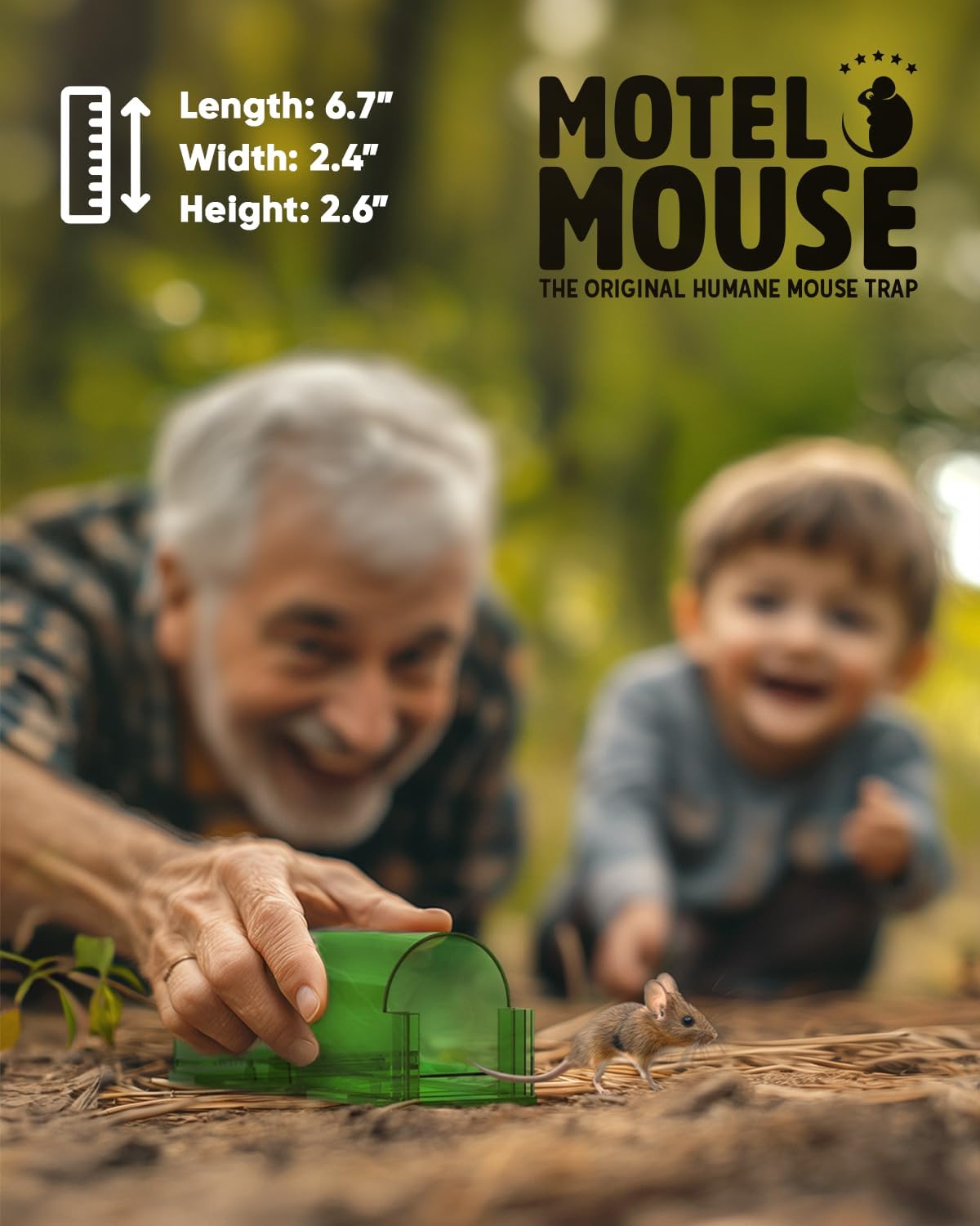 Mouse Traps - Pack of 4