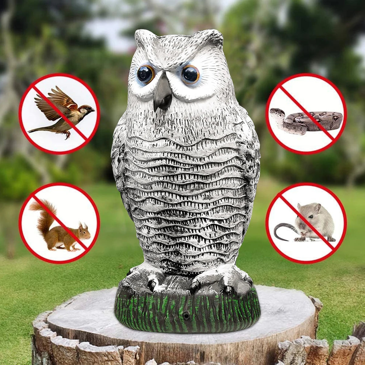 Leurre de Hibou Réaliste Répulsif à Oiseaux