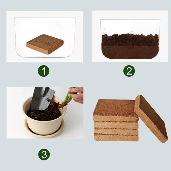 Fibre de Coco Bio pour Plantes