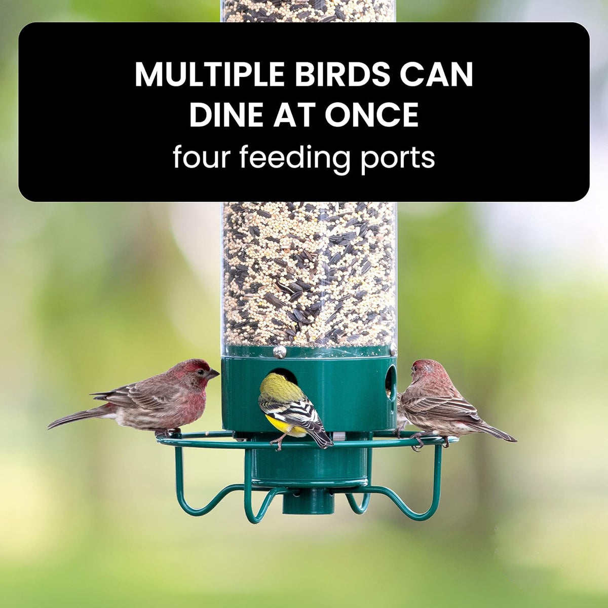 Mangeoire à oiseaux en métal à perchoir basculant