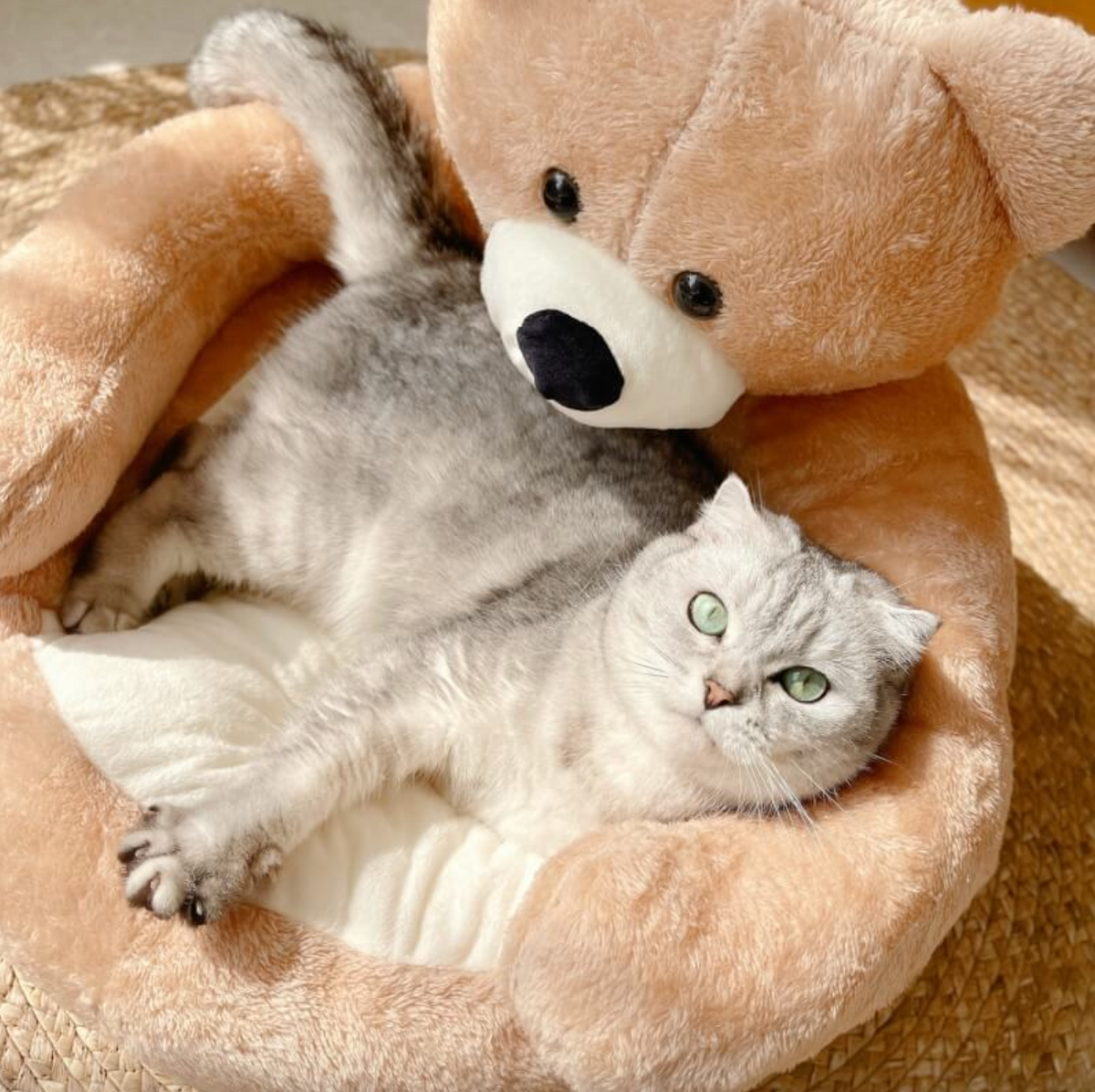 Samiya - Panier Moelleux pour Chat