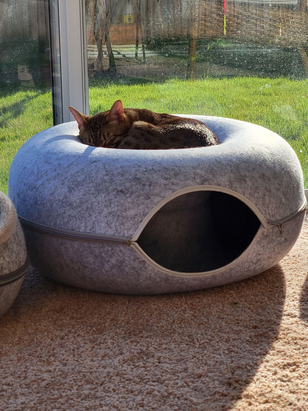 Purrfect Den - Tunnel pour Chat avec Couchage