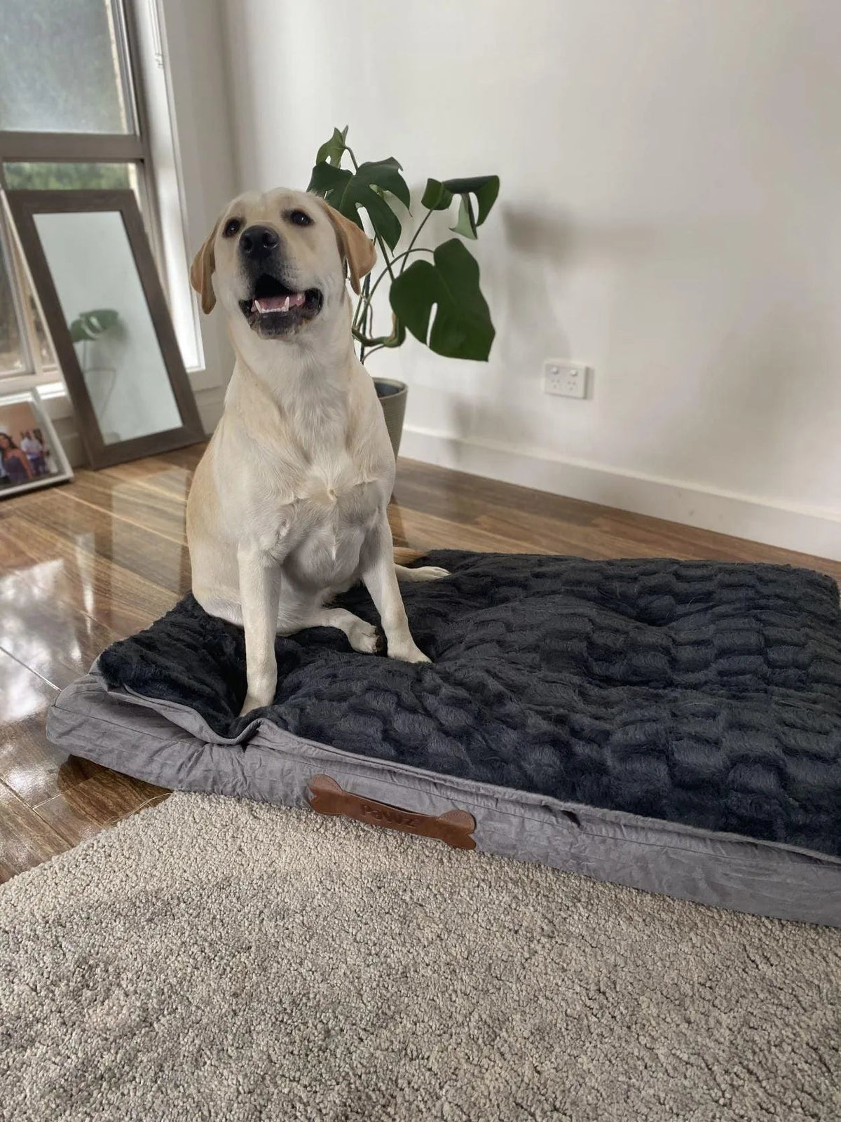 Matelas pour chien en mousse à mémoire de forme