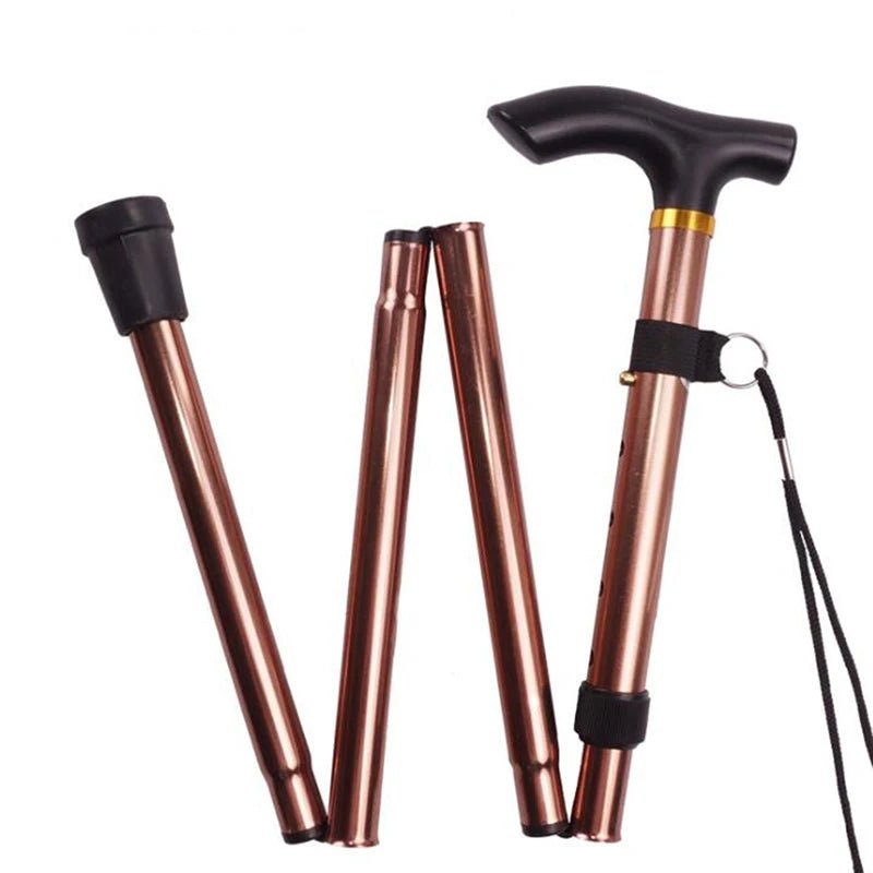 Pawbrush Canne de Marche Légère en Aluminium
