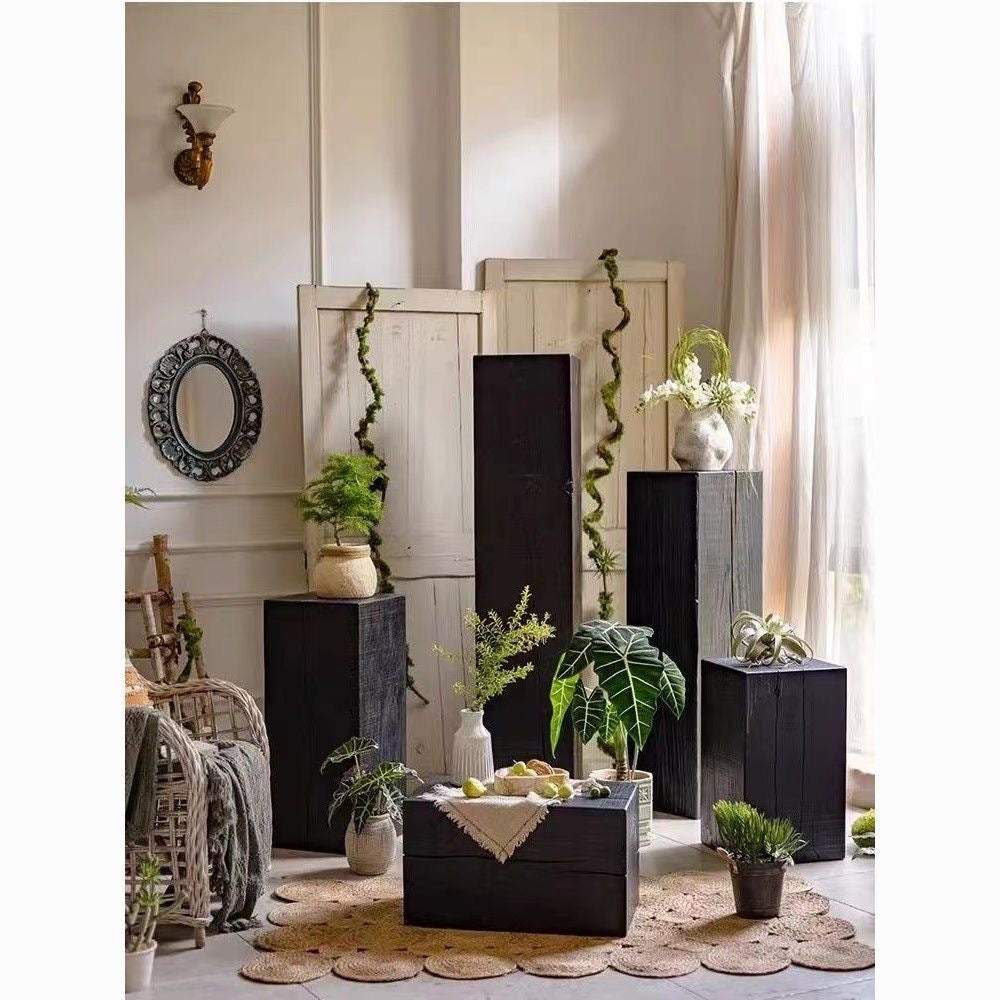 Sculptural Charred Timber Pedestal Stand