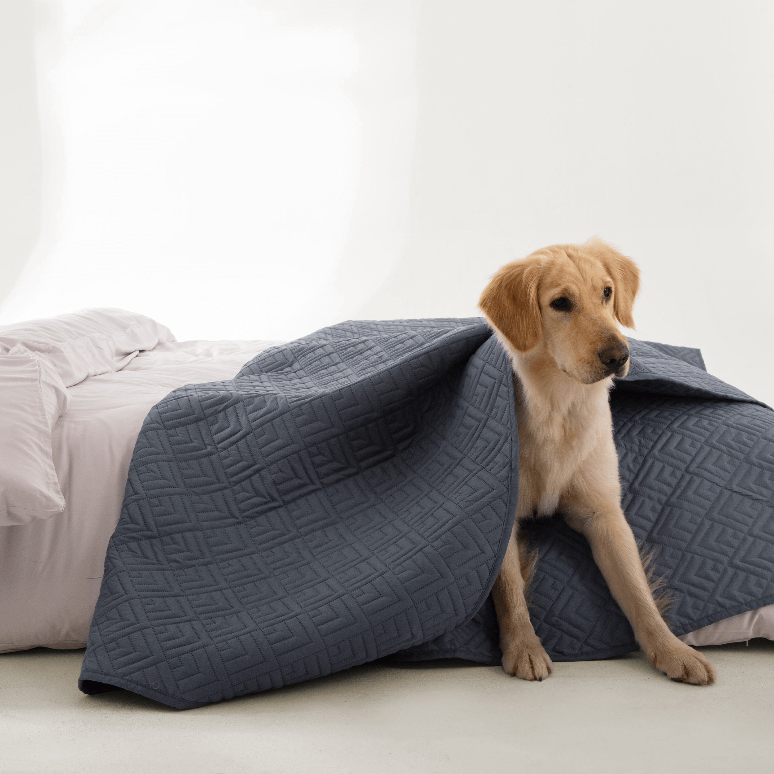 Snag Free Quilt - Pet Friendly