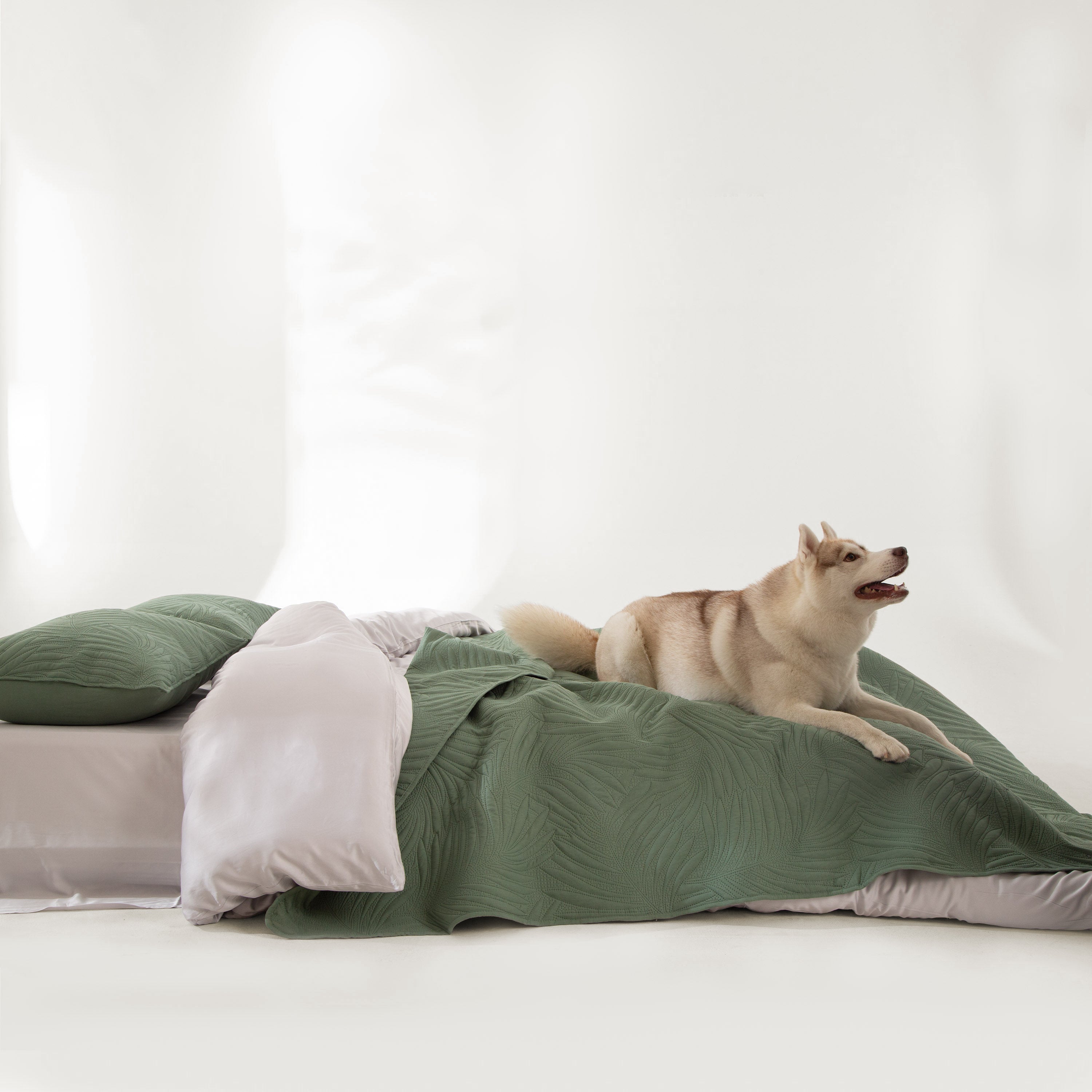 Snag Free Quilt - Pet Friendly