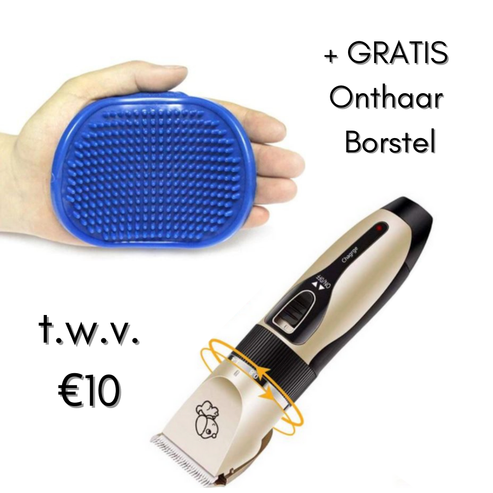 Pett Groomer - Tondeuse et Brosse de Toilettage Chien