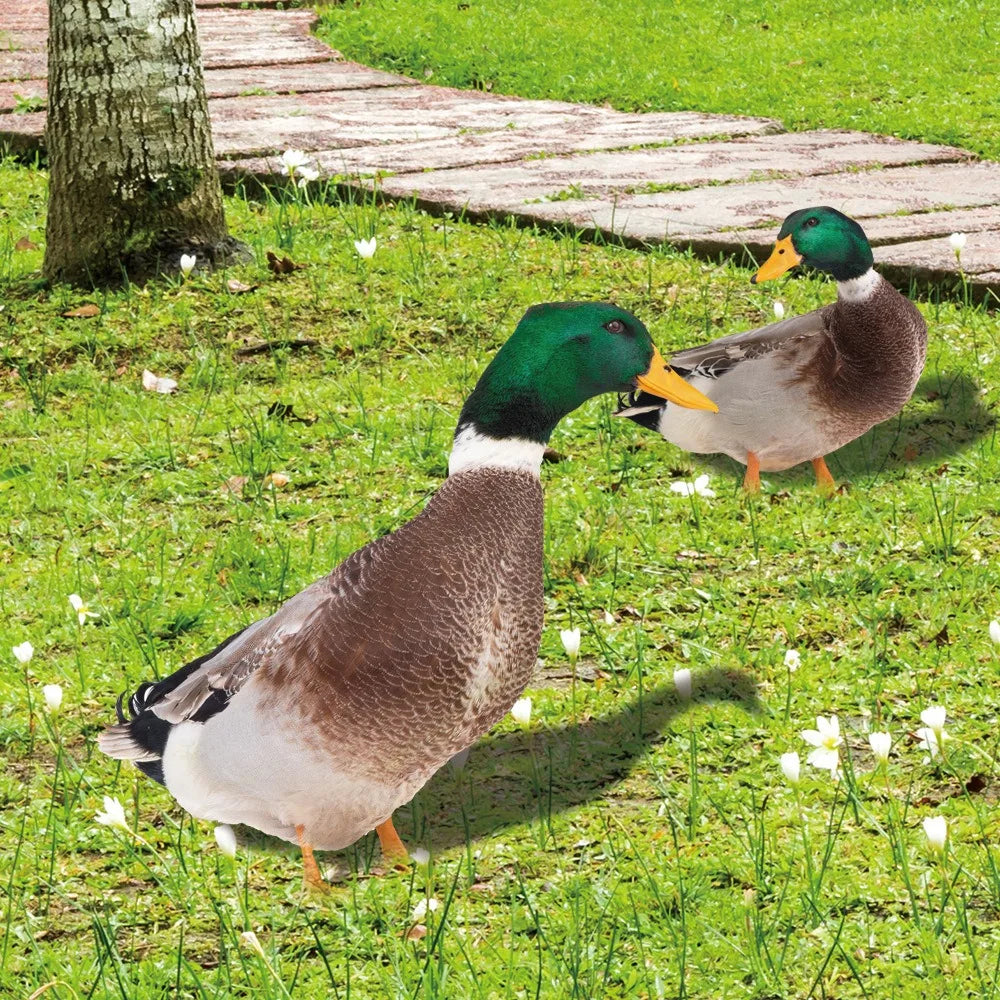Décoration Canard d'Extérieur