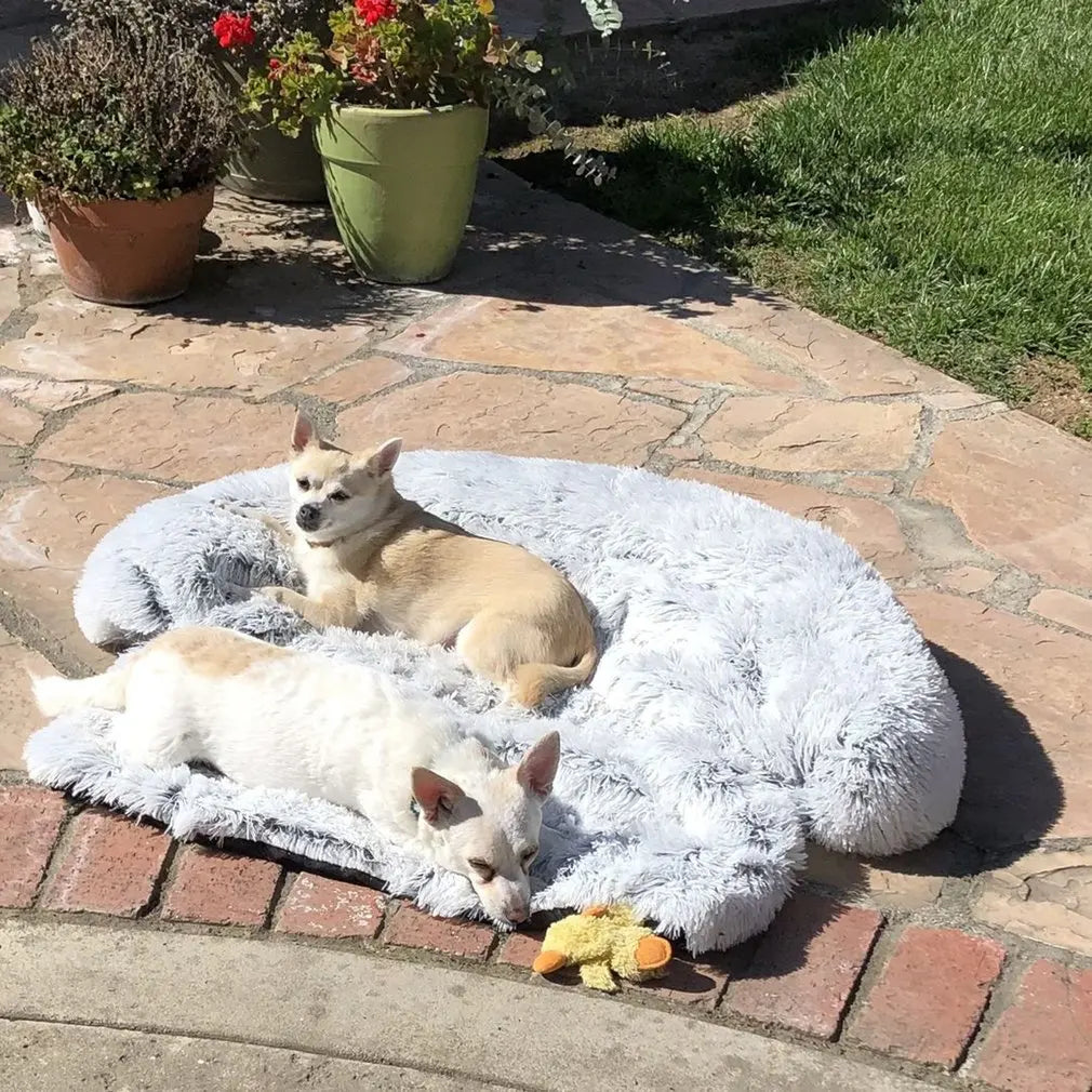 Velvetpaw Washable Plush Blanket Bed