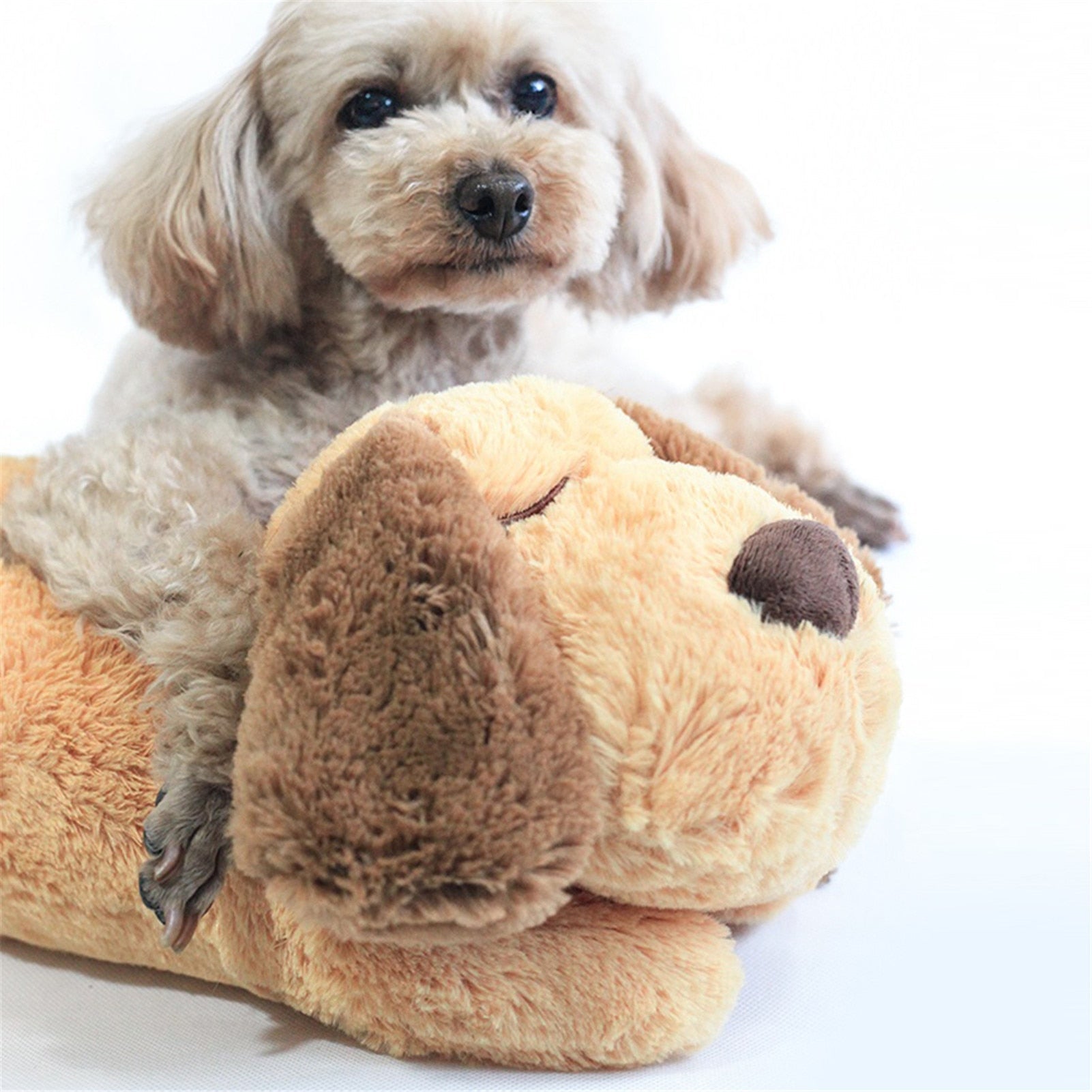 Splashpup Calming Heartbeat Puppy Plush Toy