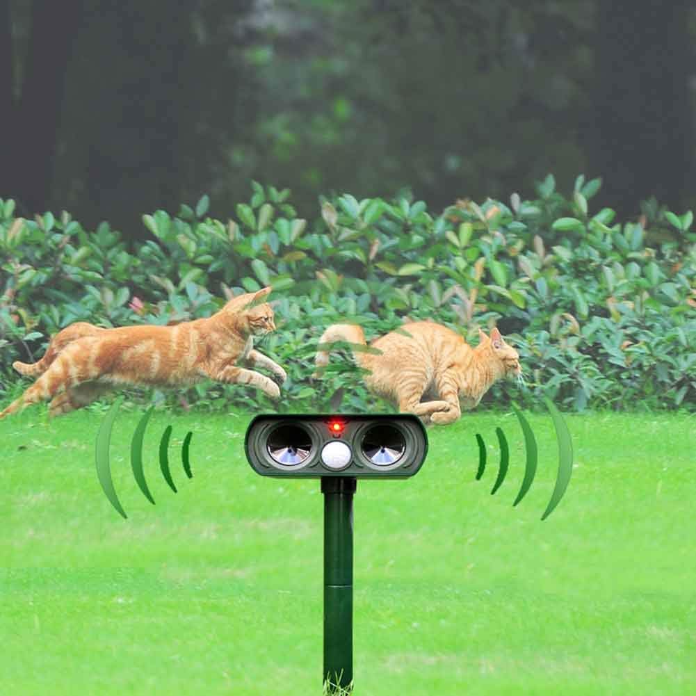 Répulsif Animaux Ultrasonique Solaire