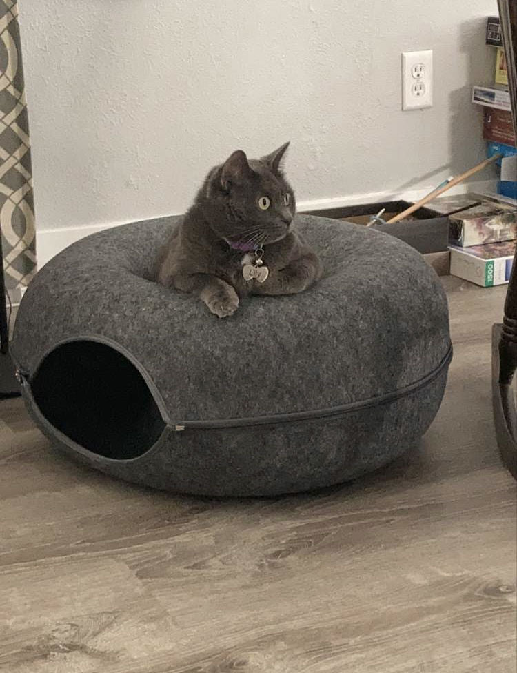 Purrfect Den - Tunnel pour Chat avec Couchage