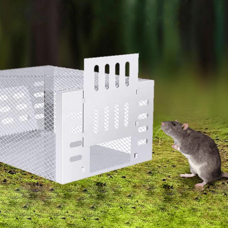 Piège à souris humain réutilisable sans poison