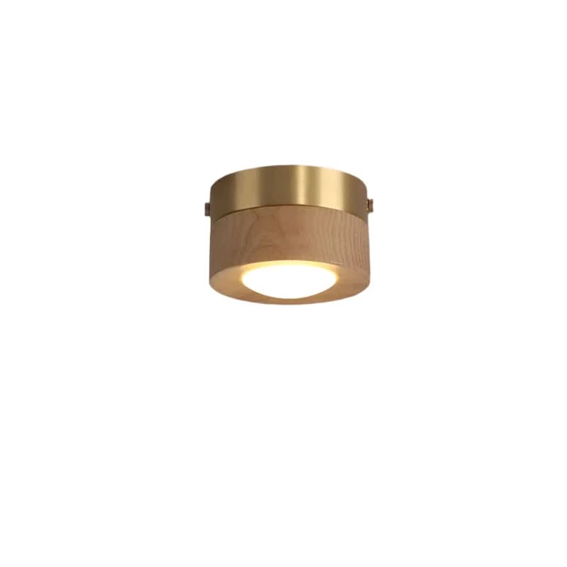 Wooden LED Ceiling Spotlight, Warm or 3-Tone Light
