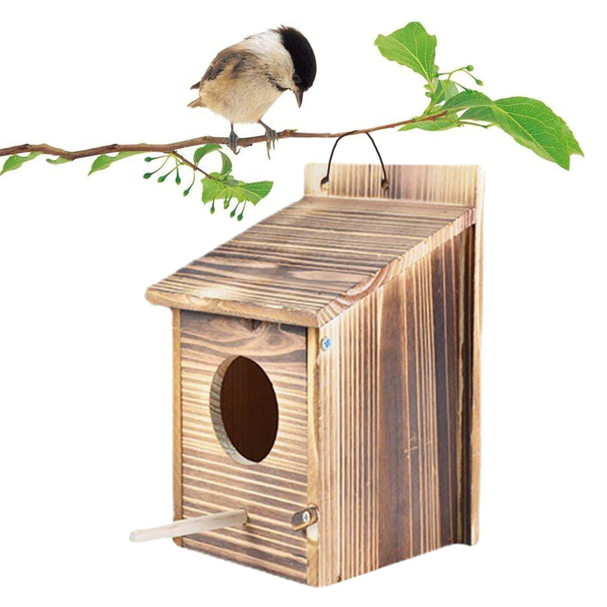 Woodbird - Nichoir en Bois Massif pour Oiseaux du Jardin