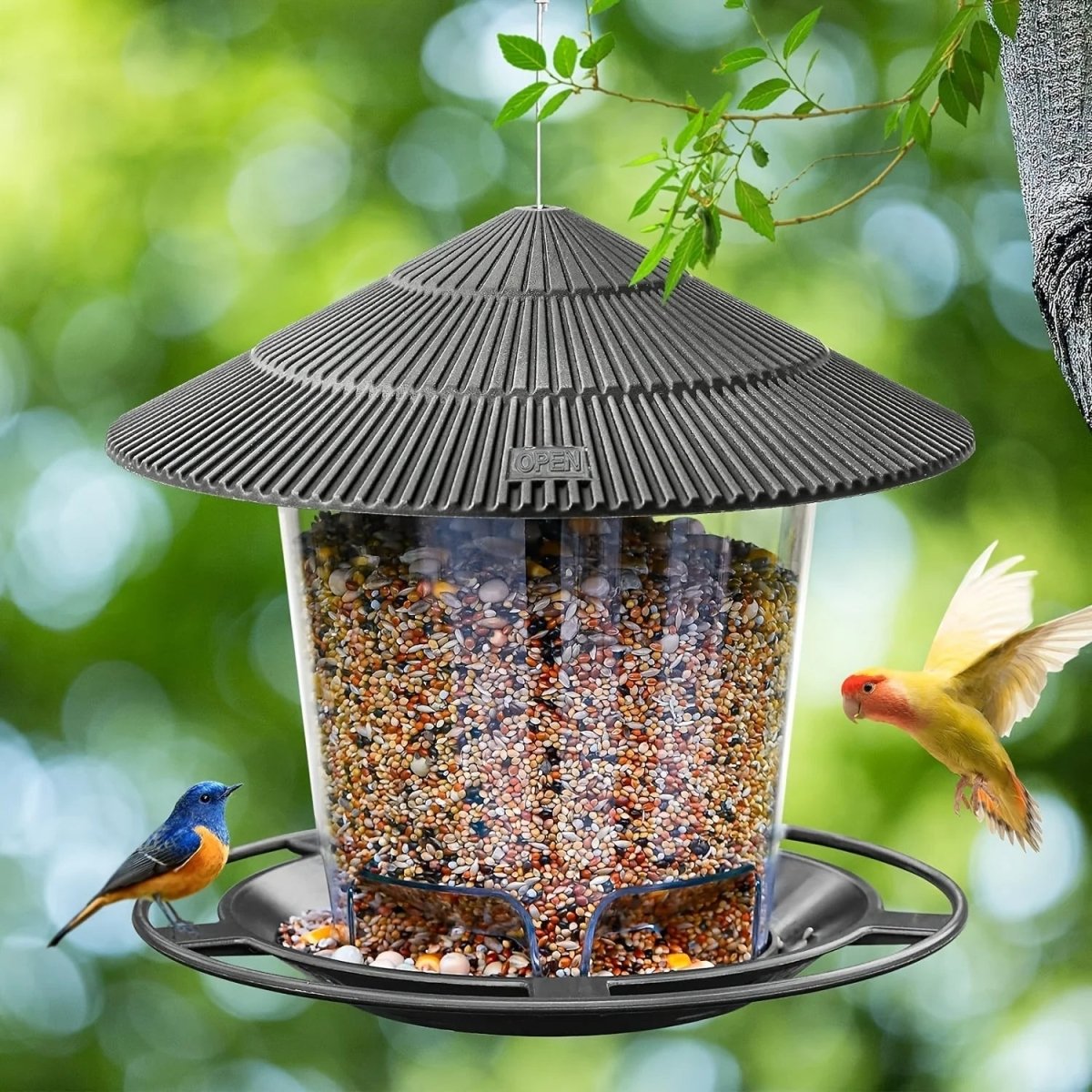 Mangeoire à oiseaux suspendue à plusieurs ouvertures
