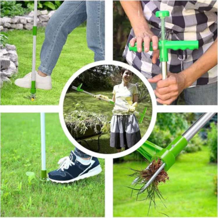 Outil de Jardinage Ergonomique pour Désherber | Poignée Longue en Acier pour un Confort Optimal 2