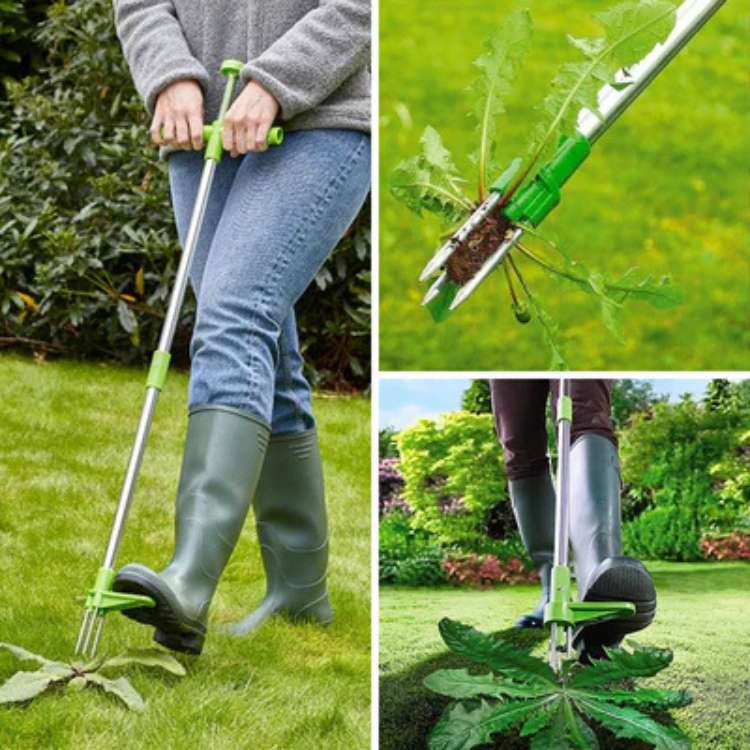 Outil de Jardinage Ergonomique pour Désherber | Poignée Longue en Acier pour un Confort Optimal 3
