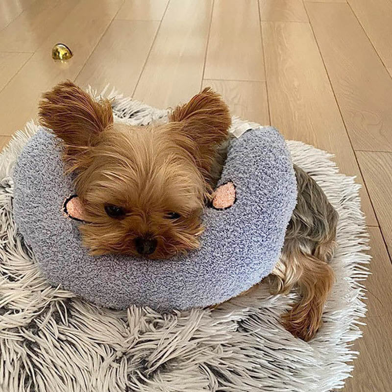 PetEase Luxe - Panier Confort pour Chien