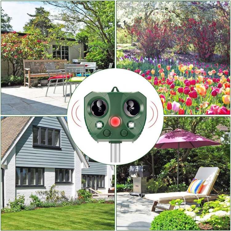 Répulsif à Ultrasons Solaire pour Oiseaux | Protection Écologique et Durable pour Votre Jardin 1