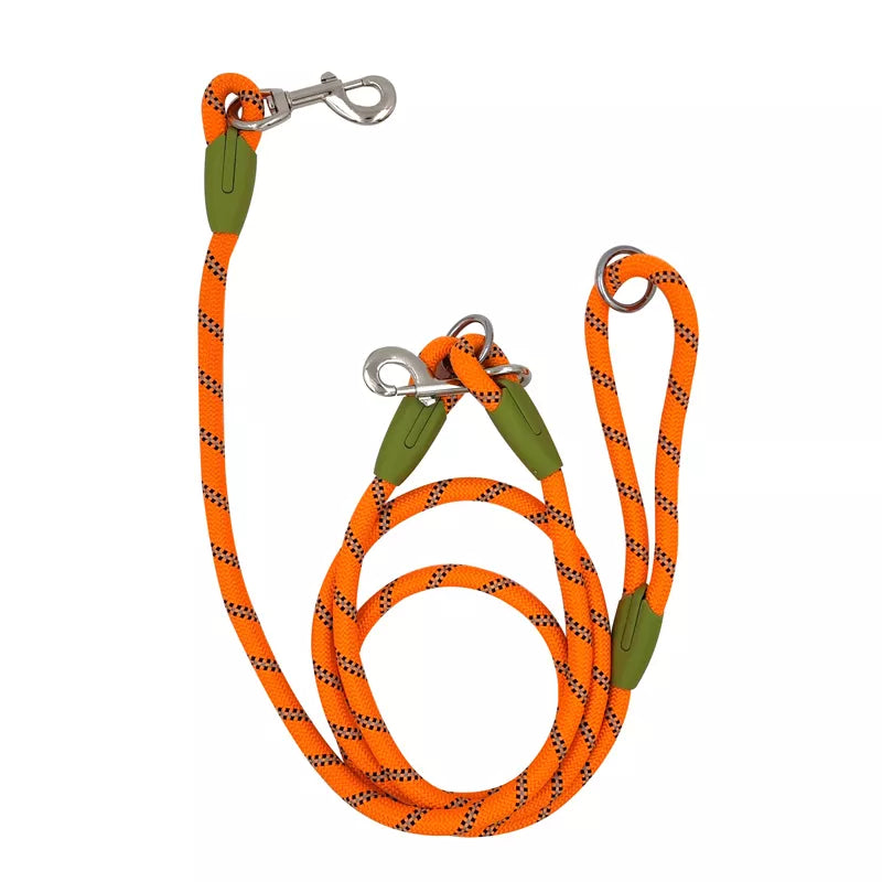 Freelead Laisse Mains Libres pour Chien