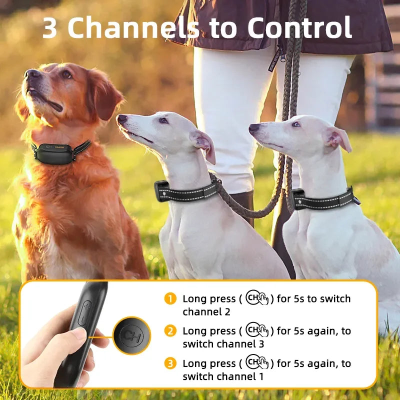 Collier de Dressage Rechargeable Étanche avec Télécommande