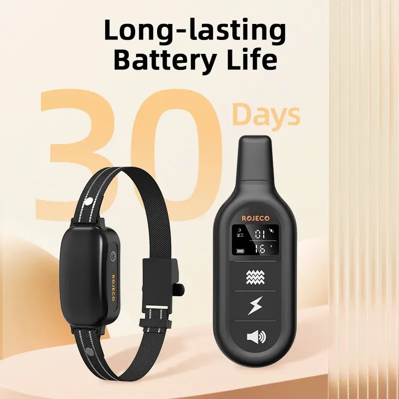 Collier de Dressage Rechargeable Étanche avec Télécommande