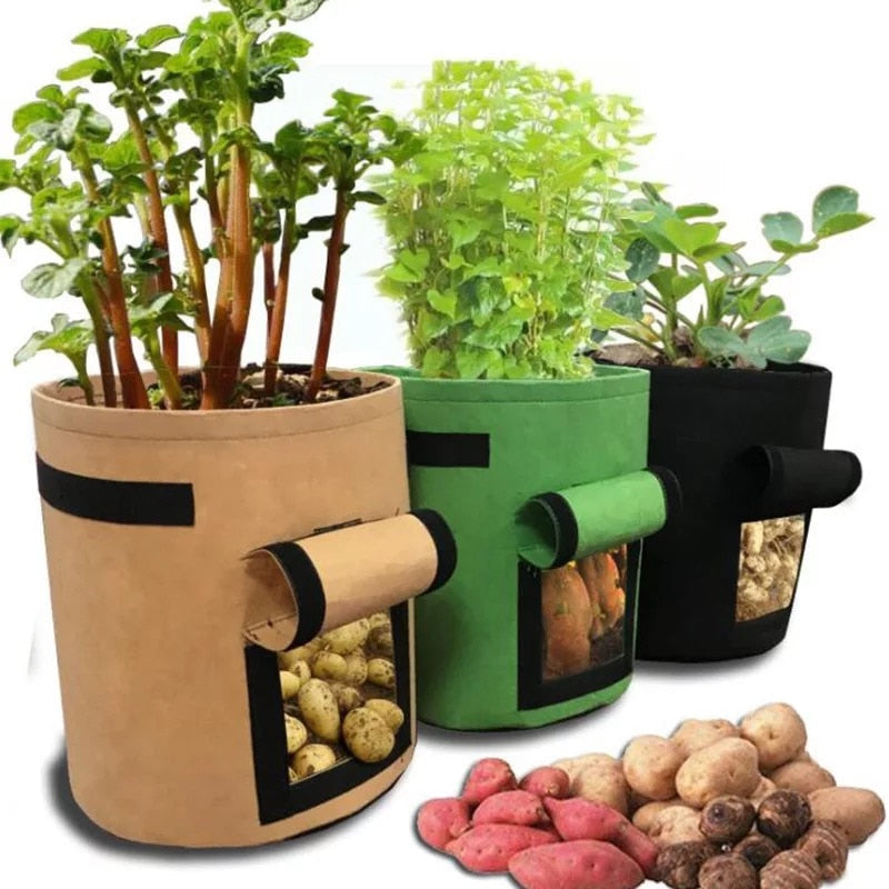 GrowMaster Pots - Pot de Culture pour Légumes Frais