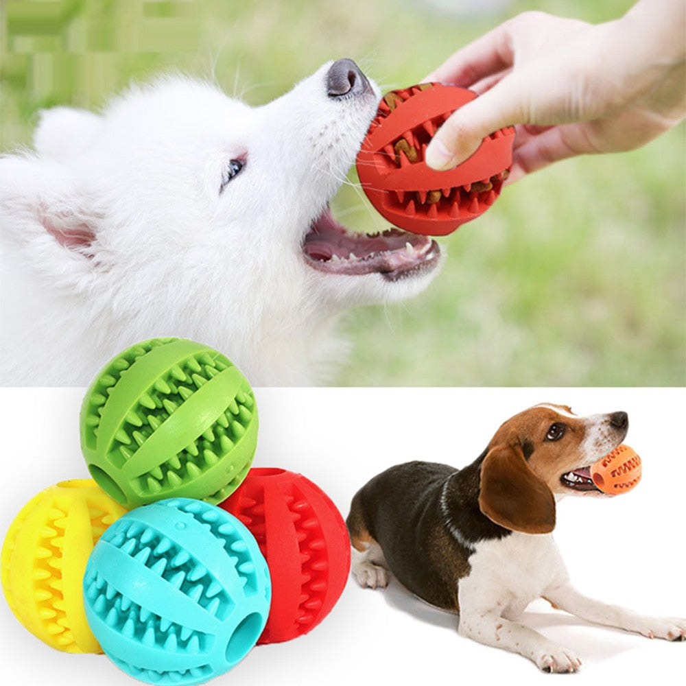 PlayMaster - Balle à Mâcher Interactive pour Chien