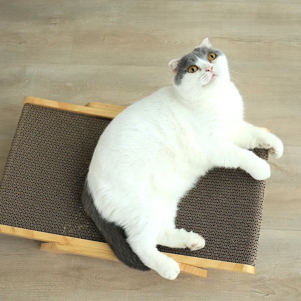 Smatch - Griffoir Design pour Chat