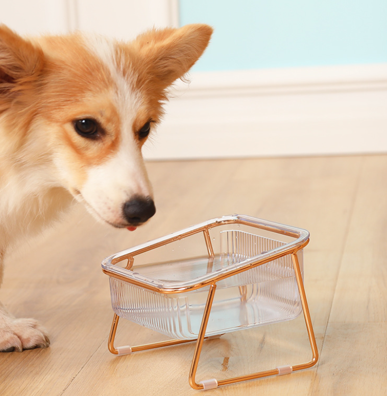 PetChic - Gamelle Surélevée pour Chat et Chien