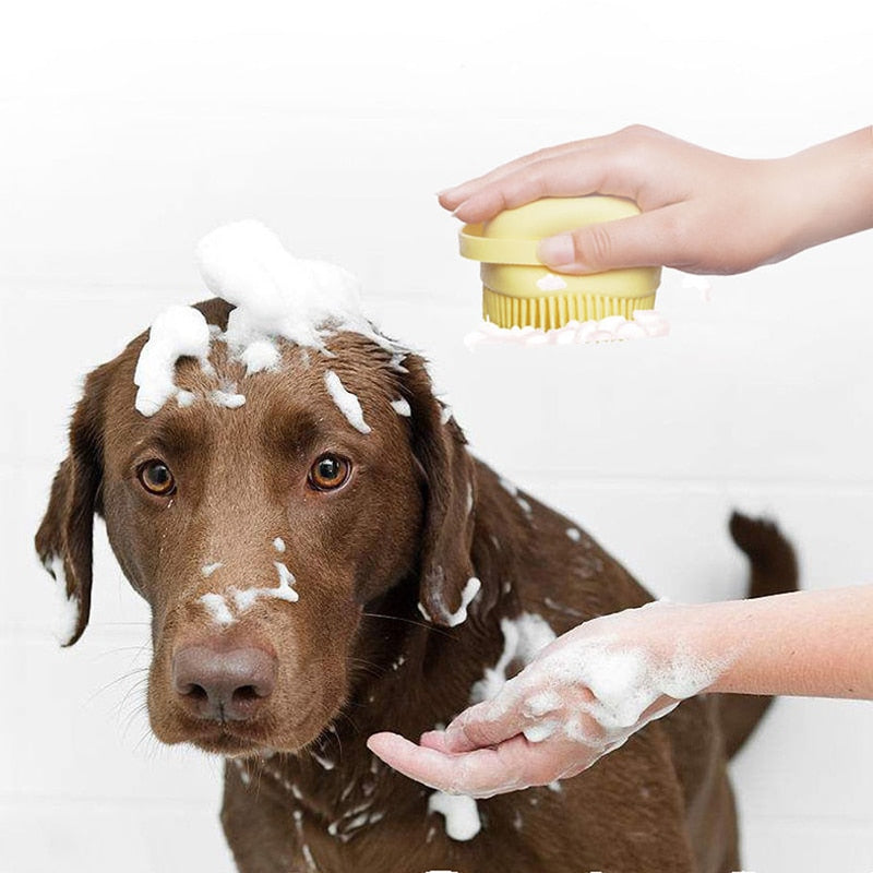 Pawgate Brosse de Bain et Toilettage pour Chien