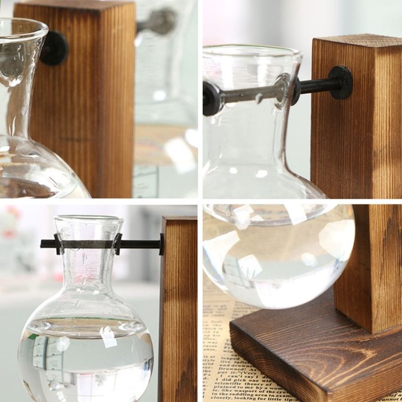 Vase hydroponique en verre sur support en bois
